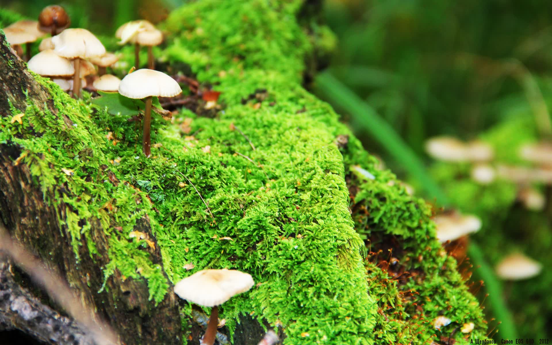 世界体能恢复公益课堂乡镇课程包第14版应用反馈报告发布,世界体能比赛